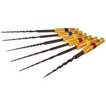 670-H8250625 Hyflex CM Rotary Files #25 25mm .06 Taper (6)