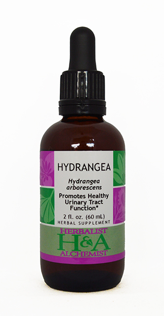  Hydrangea Extract