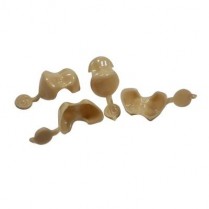 121-AC16 Direct Crown Refill Upper Dentition Ac-16 Large Bicuspid (8)