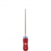 321-12790 Sybron Endo Hedstrom File #55 21mm