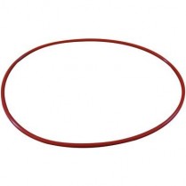 365-250007801 Chemclave 5000 Door Gasket 6"