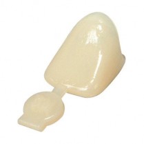 433-P40 3M Polycarbonate Crown 1st Bicuspid #40 (5)