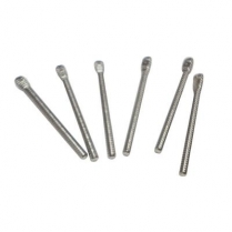 670-P4455 Parapost Stainless Steel Post P-44-5.5 (10)