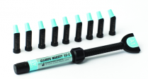 903-3034KA Clearfil Majesty Esthetic/ES-2 D2 Syringe 3.6gm