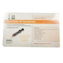 935-030657110 Core Paste XP Automix Syringe Intro Kit