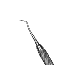 950-CVH1/MC3 #1 Hollenback/3 Mod Cleoid Large