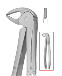 951-FE33SER Nordent Extracting Forceps FE33 Serrated