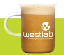 551-3310 Westlab Beaker Mug with handle, 300ml