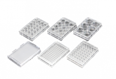  Sterile Cell Culture Plates