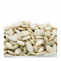 18-100-1 SQUASH SEEDS R & S JUMBO     20 LB