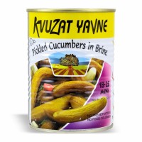 28-393-1 YAVNE CUCUMBERS (18-25)     12/19 OZ