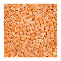 29-266-1 RED LENTIL DOMESTIC     50  LB