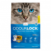Intersand Odourlock Clumping Cat Litter, Unscented, 12kg