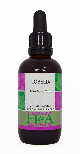  Lobelia Extract