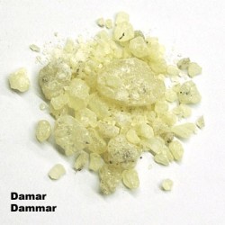 27306 DAMMAR, 100 GR.