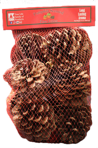 212-PNC-906 Kirk Cinnamon Scented Pine Cones, 20/Case