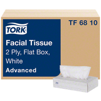 SCA801 (TF6810) FACIAL TISSUE SOFT WHT 2PLY 100'S (13000)