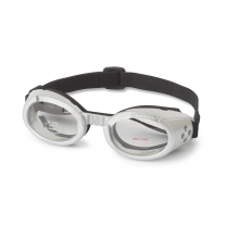  ILS 2 Silver Frame with Clear Lens