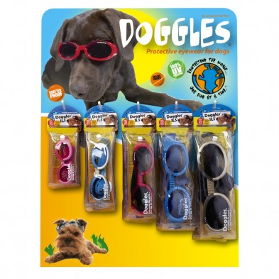 DIDG15-99 Doggles Display