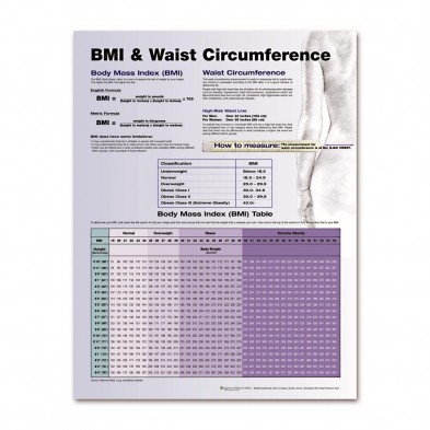 EM-6502-2273 Understanding BMI Laminated Poster