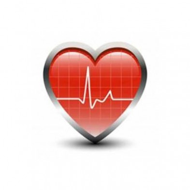 EM-9294-5801 Lode Heart Rate for Treadmills