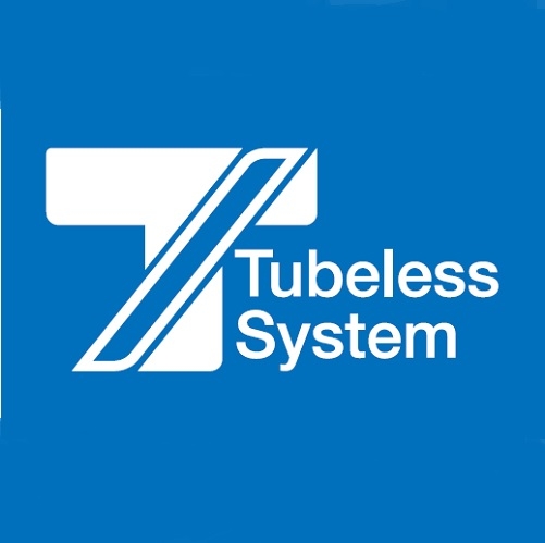 giant tubeless system