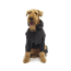 DEKI Pawtek PT9040 Dog Full-Body Winter Suit XS SEASONAL