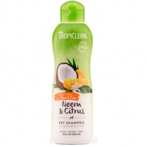 TCL Neem and Citrus Shampoo 20oz (12)