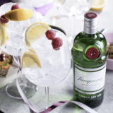 Tanqueray Gin 1L