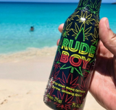 RUDE BOY, 7% ABV 24/275ml