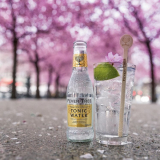 Fever Tree Indian Tonic Water 200ml