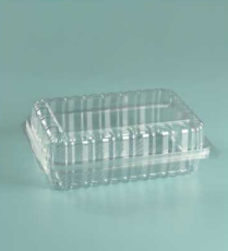 PET Clear Hinged Container 9x6x3" 200/cs