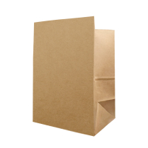 10x7x15" Kraft Paper Bag 100GSM 250/cs