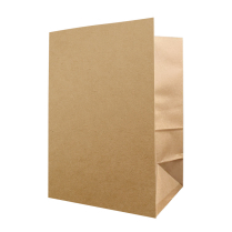 12x7x17" Kraft Paper Bag 120GSM 250/cs