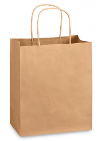 CM4 Kraft Handle Paper Bag (S) 9.25x6.75x10.25" 250/cs