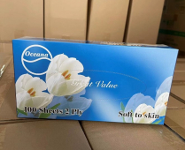 2Ply Facial Tissue White 100's X 30 Boxes/CS