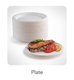 Sugarcane Plates: Perfect for dine-in or catered events, these plates combine elegance with environmental responsibility. They are available in multiple sizes to accommodate different serving needs.
