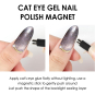 Magnet for Cateye Gelcolor 38641