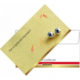 Matching Envelope For Gift Certificate 50PK EN105