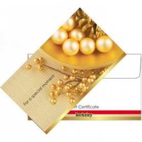 Matching Envelope For Gift Certificate 50PK EN106