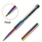 Rainbow Nail Art Brush 21557