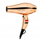 IZUTECH Vulcann 3900 Rose Gold Dryer 21205