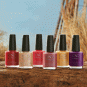 CND Vinylux Wild Romantics Fall 2021 14Pcs Display 00936