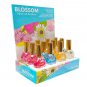 Blossom Stuck On You Base Coat 12Pcs Dis BL-BC12