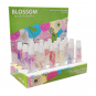 Blossom Moisturizing Lip Gloss 18 PC Dis BL-LGTUBE18