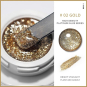 High Gloss Metallic Painting Gel Chrome Gold 5g 16150