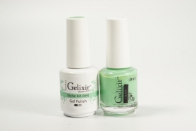 Gelixir Soak Off Gel All In One Set- Dollar Bill  GX069