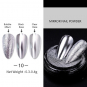 Mirror Effect Nail Glitter Powder Silver 46283-10