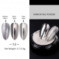 Mirror Effect Nail Glitter Powder Silver 46283-13