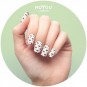 MoYou Nail Art Plate Collection Tropical 22 #MPTRO22